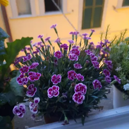 Casa Da Ida Homestay Portoferraio